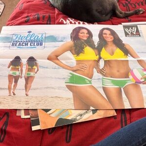 WWE Bellas Beach Club Yellow and Green Poster
